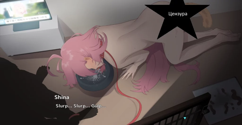 Embarrassed Shina-chan~ the Naked Wandering College Girl Game Review