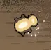 Sol Cesto Tips Quick Guide